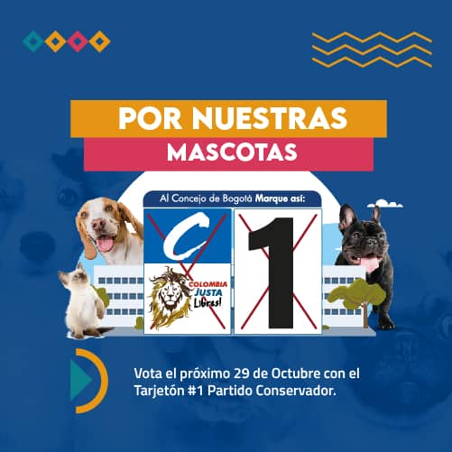 Banner Responsive Hospital Mascotas Vota